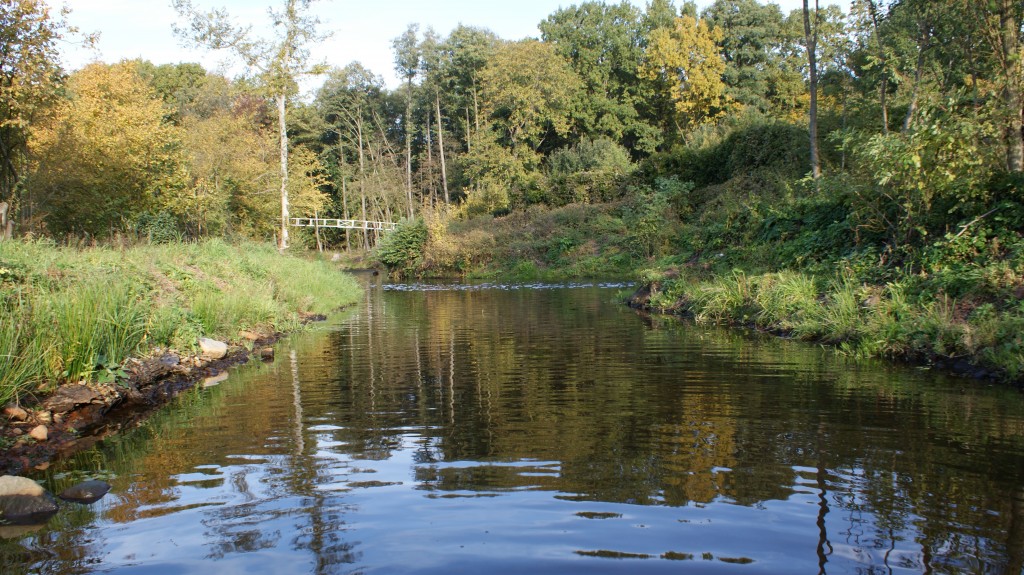 Rzeka Wołczenica