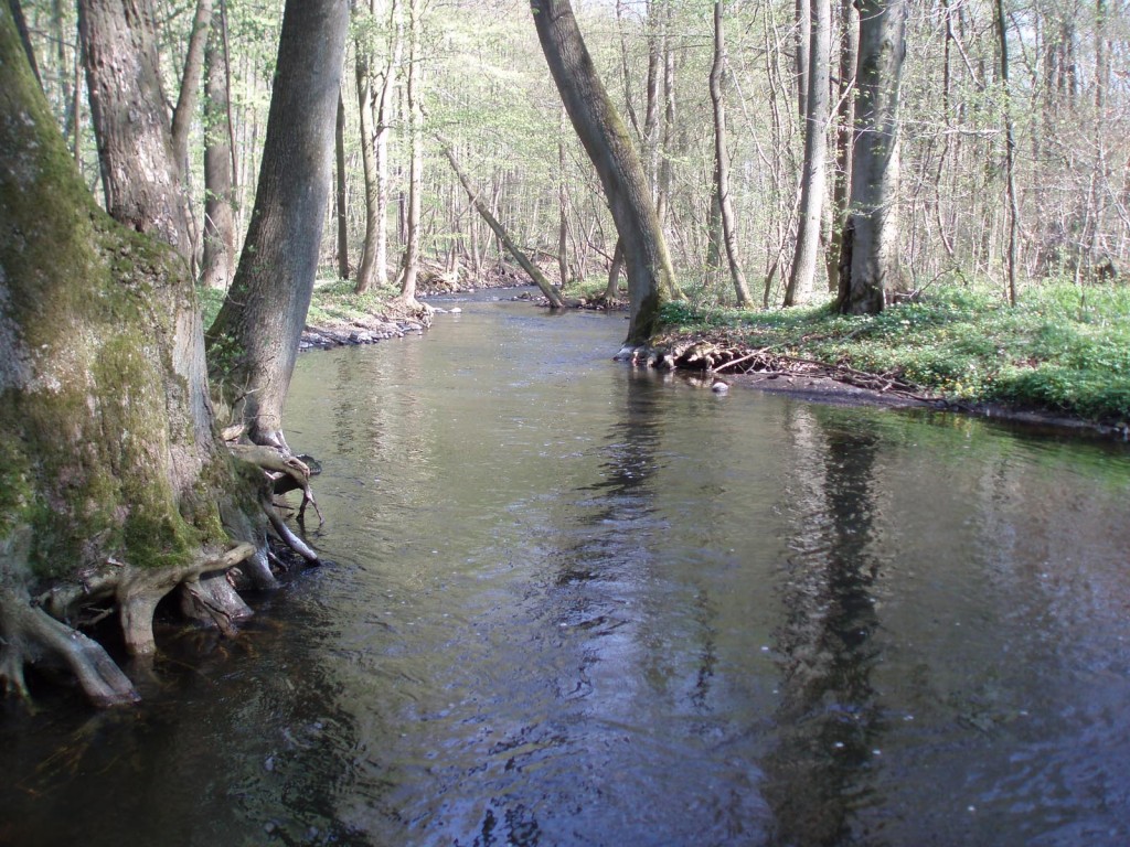 Rzeka Krąpiel