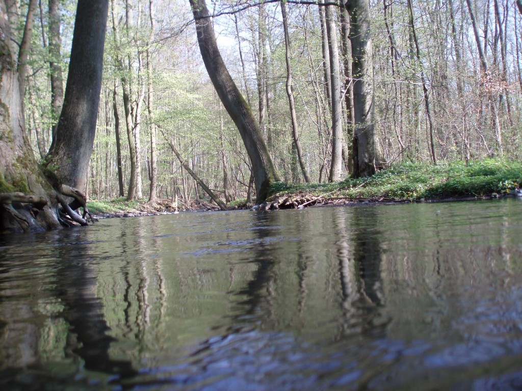Rzeka Krąpiel